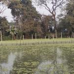 সীমানা নির্ধারণ নিয়ে আদমদীঘিতে রক্তক্ষয়ী সংঘর্ষের আশঙ্কা